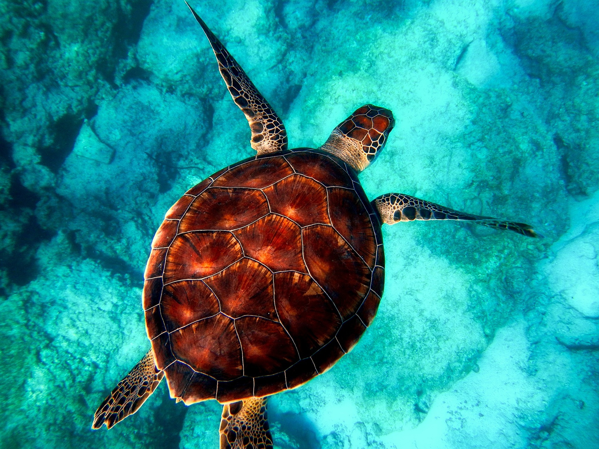 Limpieza ecológica